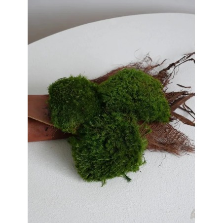 Mousse Provence stabilisée vert clair