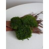 Mousse Provence stabilisée vert clair