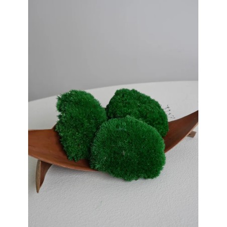 Mousse Boule Stabilisée vert foncée