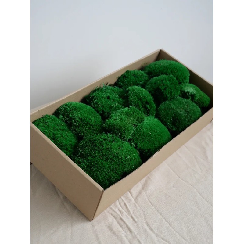 Mousse Boule Stabilisée 400g carton