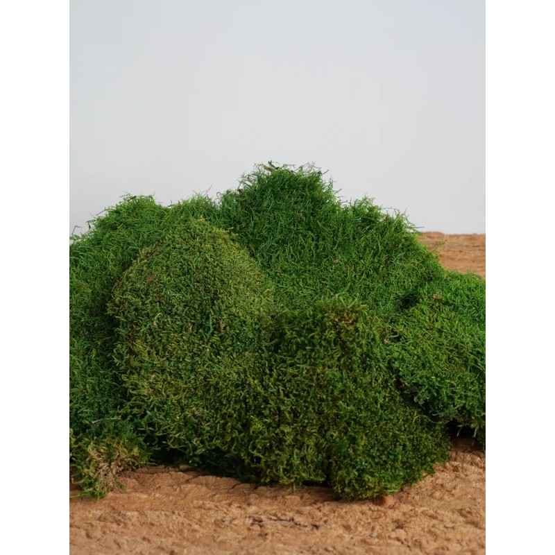 Mousse Stabilisée Vert Clair