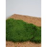 Mousse plate stabilisée Verte Claire