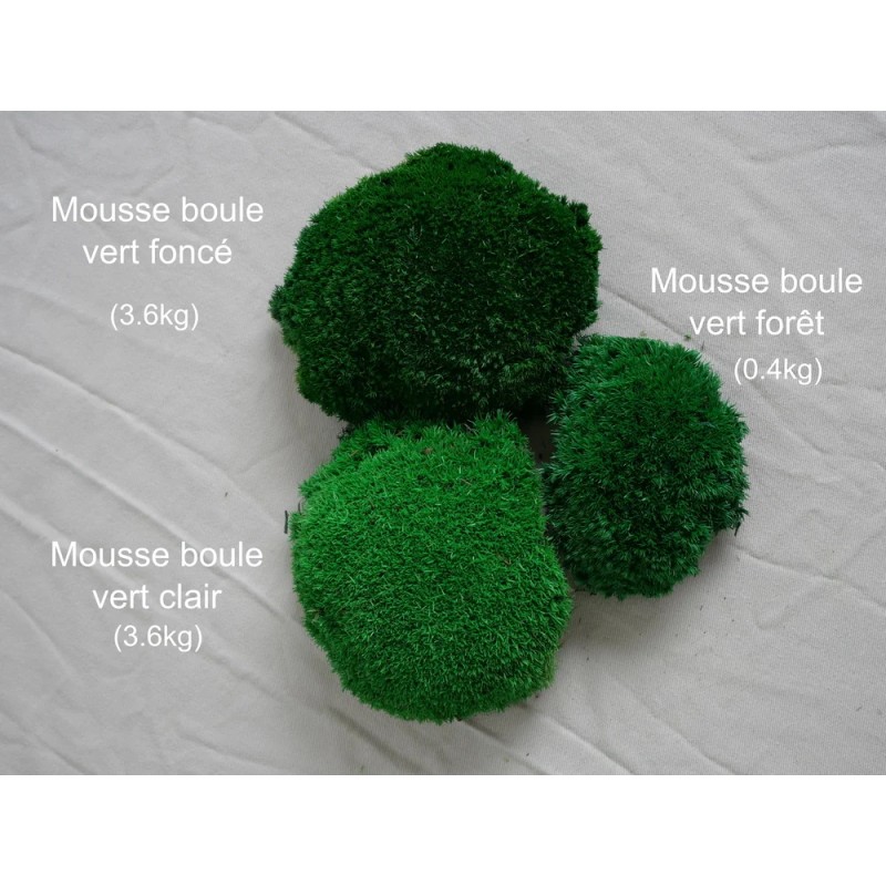 Mousse boule déclinaisons