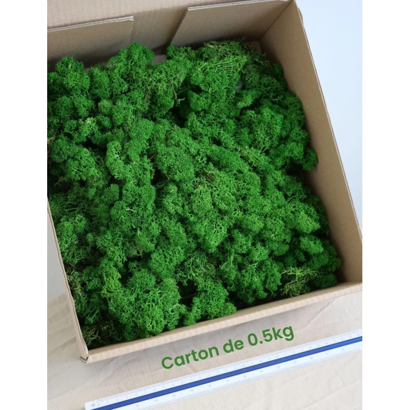 Lichen scandinave stabilisé 500g