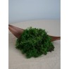 Lichen Scandinave Stabilisé sans tête vert forêt
