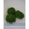 Mousse Provence stabilisée vert clair dimension