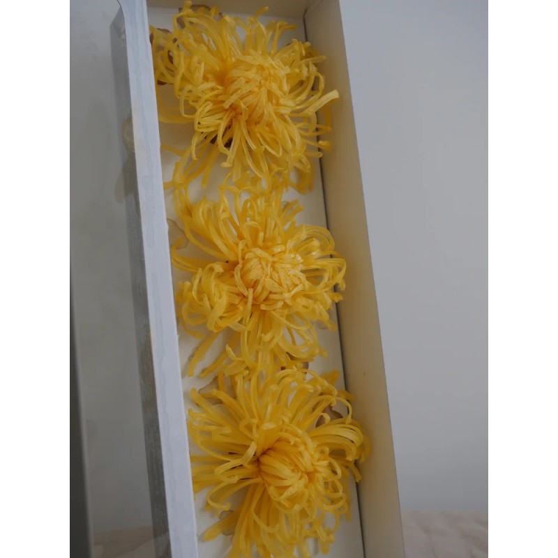 Chrysanthème Anastasia Stabilisé jaune boite