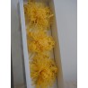 Chrysanthème Anastasia Stabilisé jaune boite