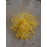 Chrysanthème Anastasia Stabilisé jaune