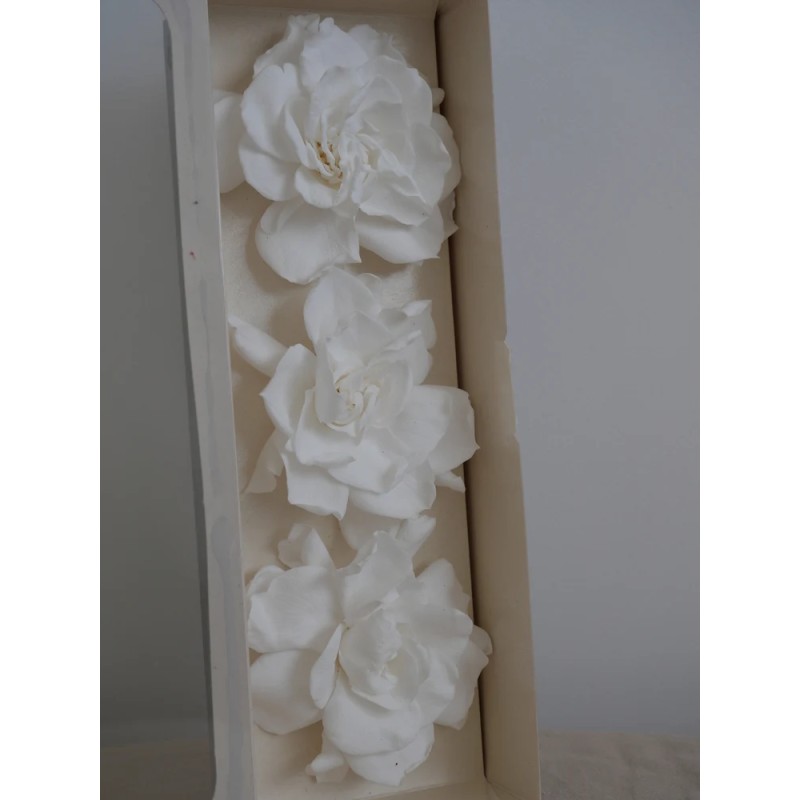 gardenia blanc stabilisé boite