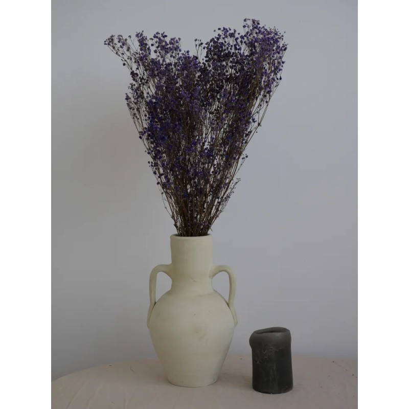 Gypsophile stabilisé violet