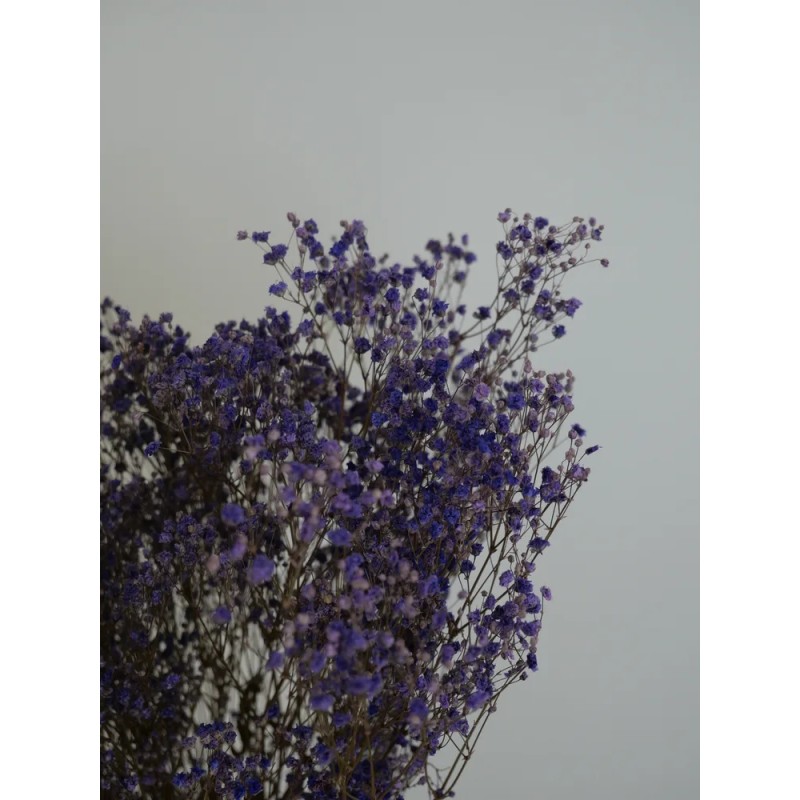 Gypsophile stabilisé violet détails