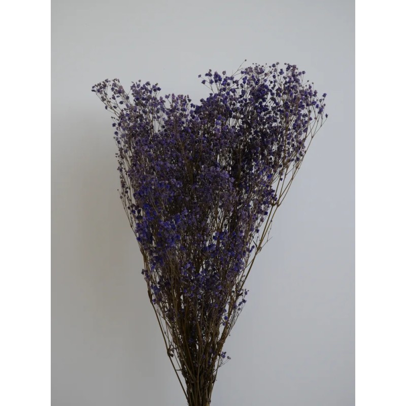 Gypsophile stabilisé violet bouquet