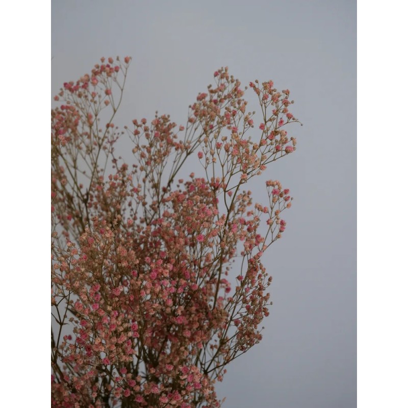 Gypsophile stabilisé rose détails