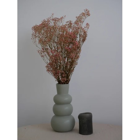 Gypsophile stabilisé rose