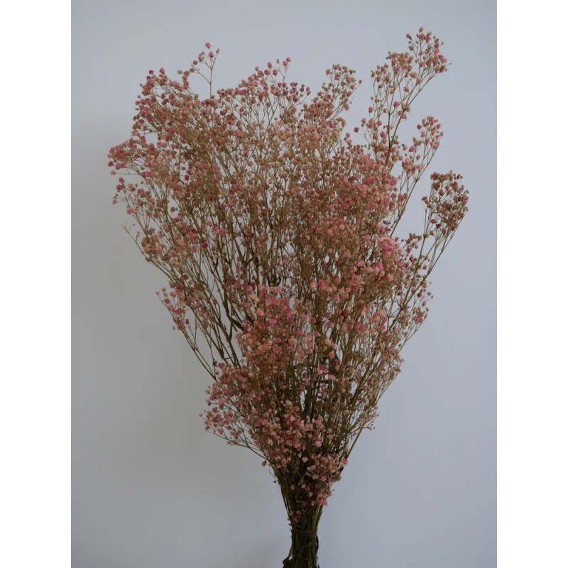Gypsophile stabilisé rose bouquet