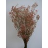 Gypsophile stabilisé rose bouquet