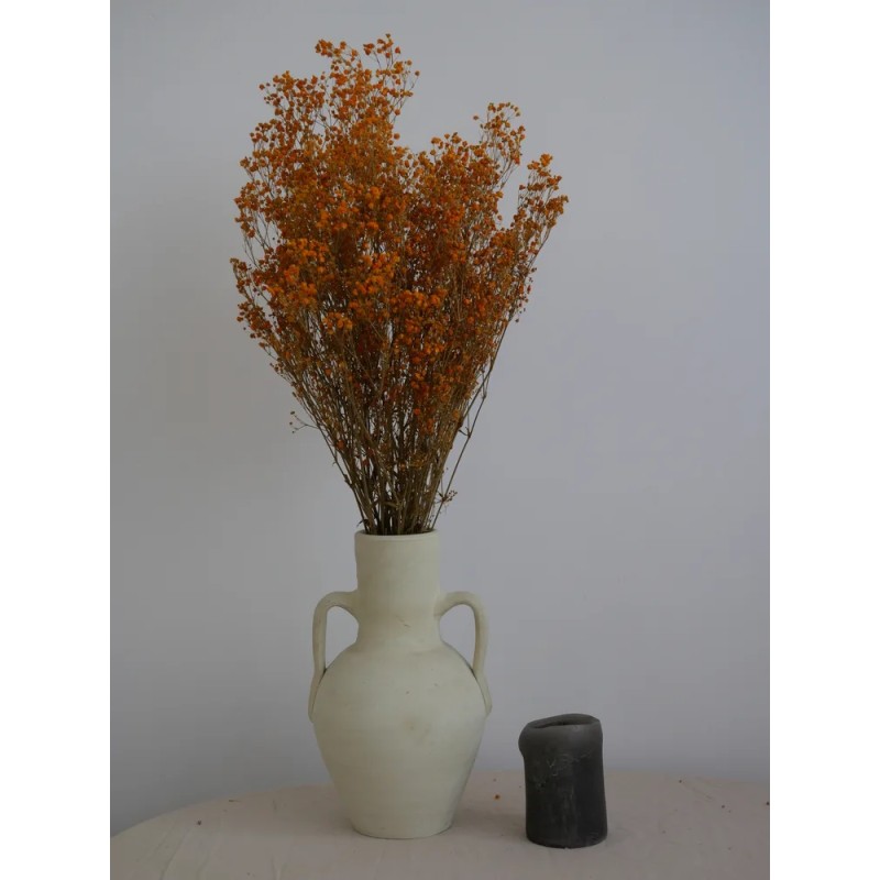 Gypsophile stabilisé orange