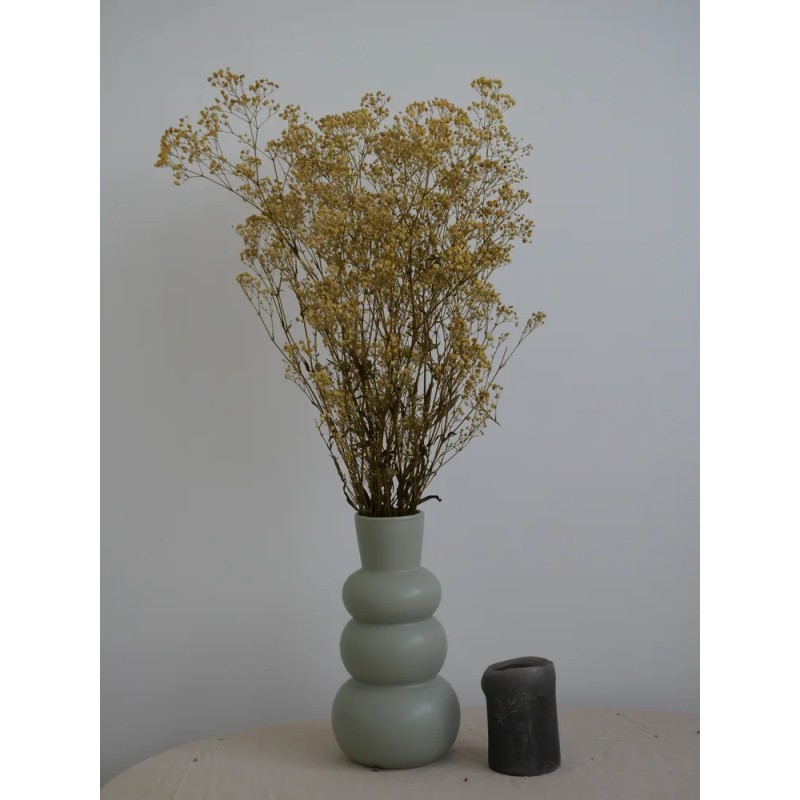 Gypsophile stabilisé jaune