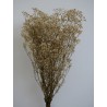 Gypsophile stabilisé crème bouquet