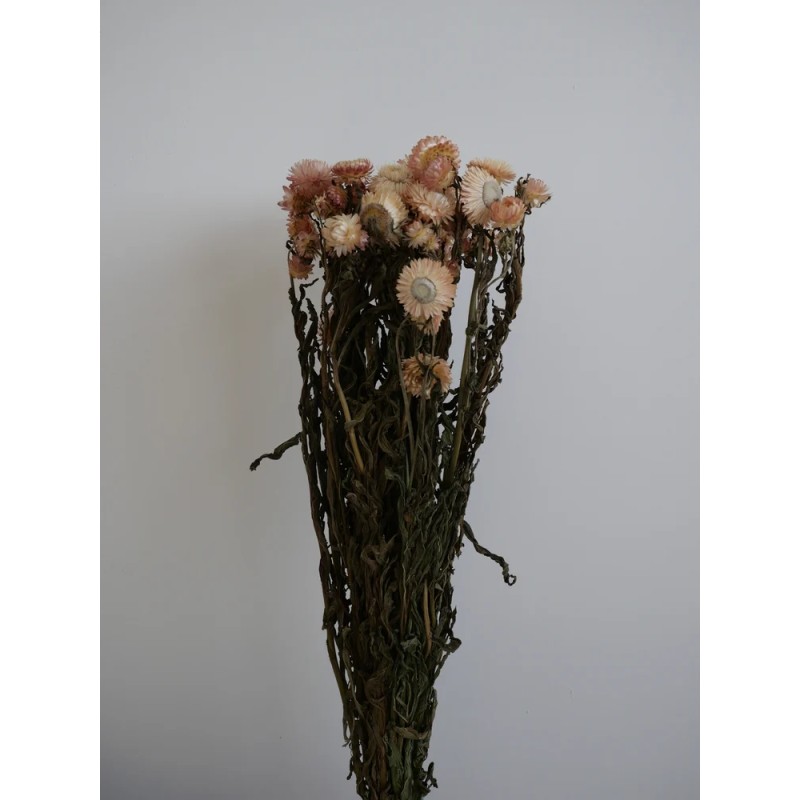 Immortelle Séchée bouquet