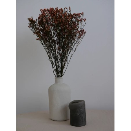 Limonium Stabilisé rose décoration intérieure
