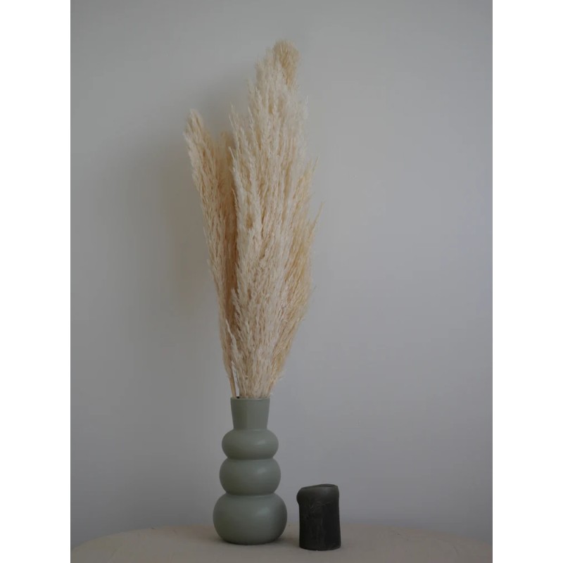 Plumero Silvestre Stabilisé blanc décoration intérieure
