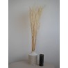 Andre Kise Séché blanc decoration