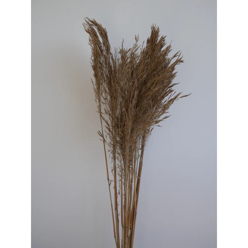 Andre Kise Séché naturel bouquet
