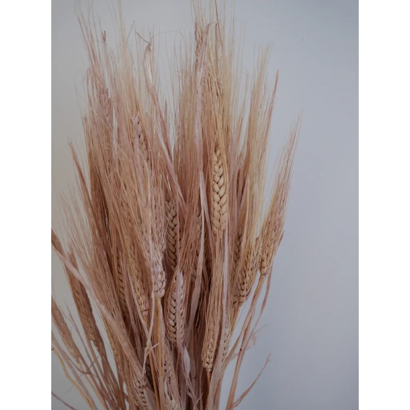 blé séché rose détails