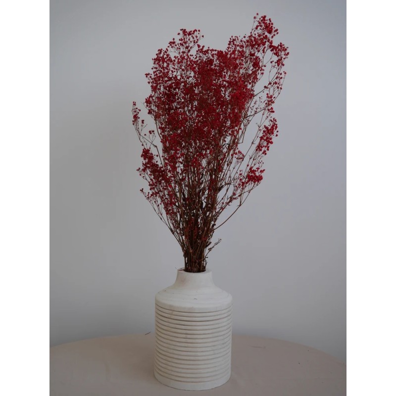 gypsophile rouge stabilisé  décoration