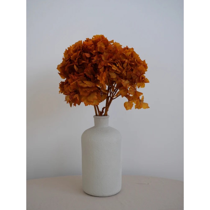Hortensia Stabilisé orange decoration