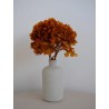 Hortensia Stabilisé orange decoration