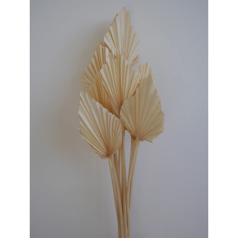 Palm Spear Séchée bouquet