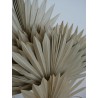 Palm Sun Séchée bouquet