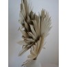 Palm Sun Séchée art floral