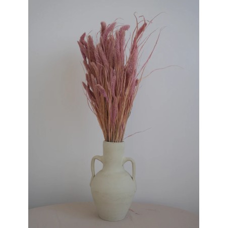 Setaria séché rose décoration