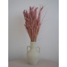 Setaria séché rose décoration