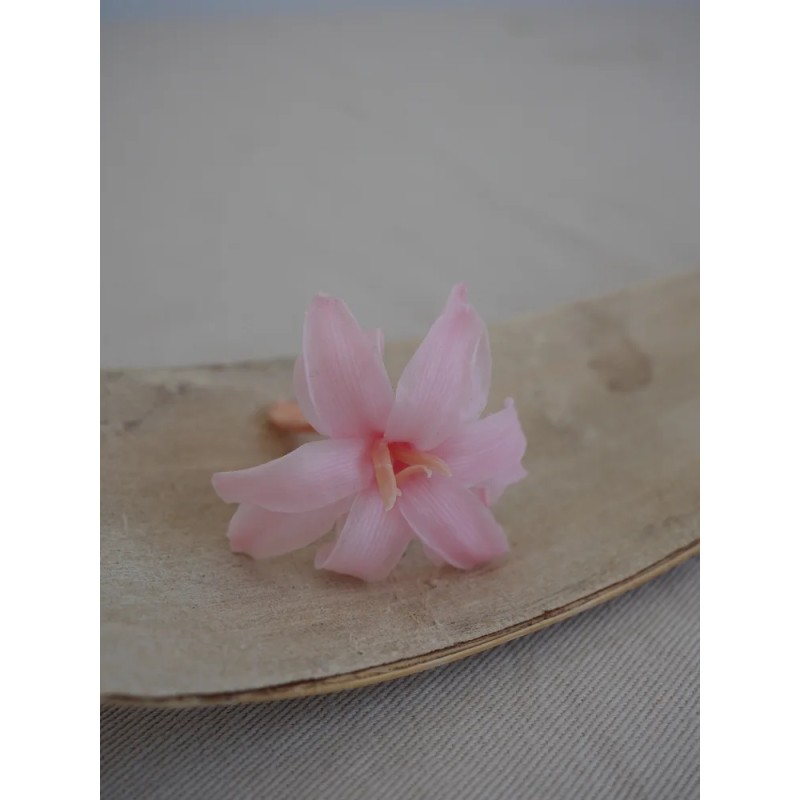 Tubéreuse rose stabilisée