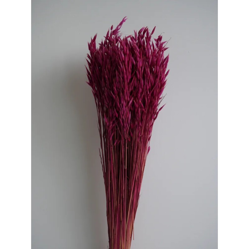Avoine séché rose bouquet