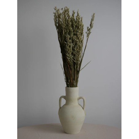 Avoine séché naturel décoration