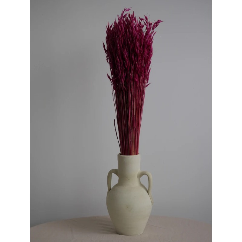 Avoine séché rose