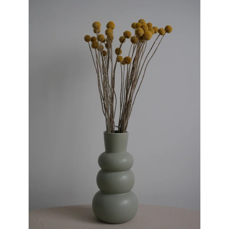 Craspedia stabilisée jaune décoration