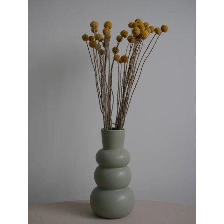 Craspedia stabilisée jaune décoration