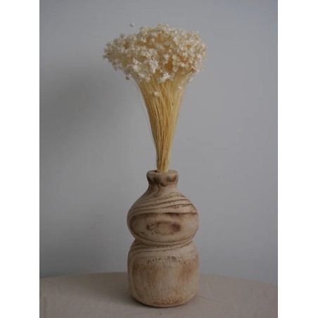 Glixia stabilisé blanc décoration