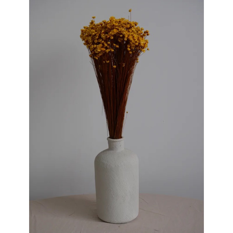 Glixia stabilisé jaune décoration