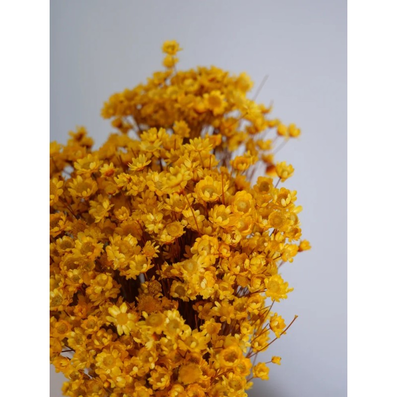 Glixia stabilisé jaune