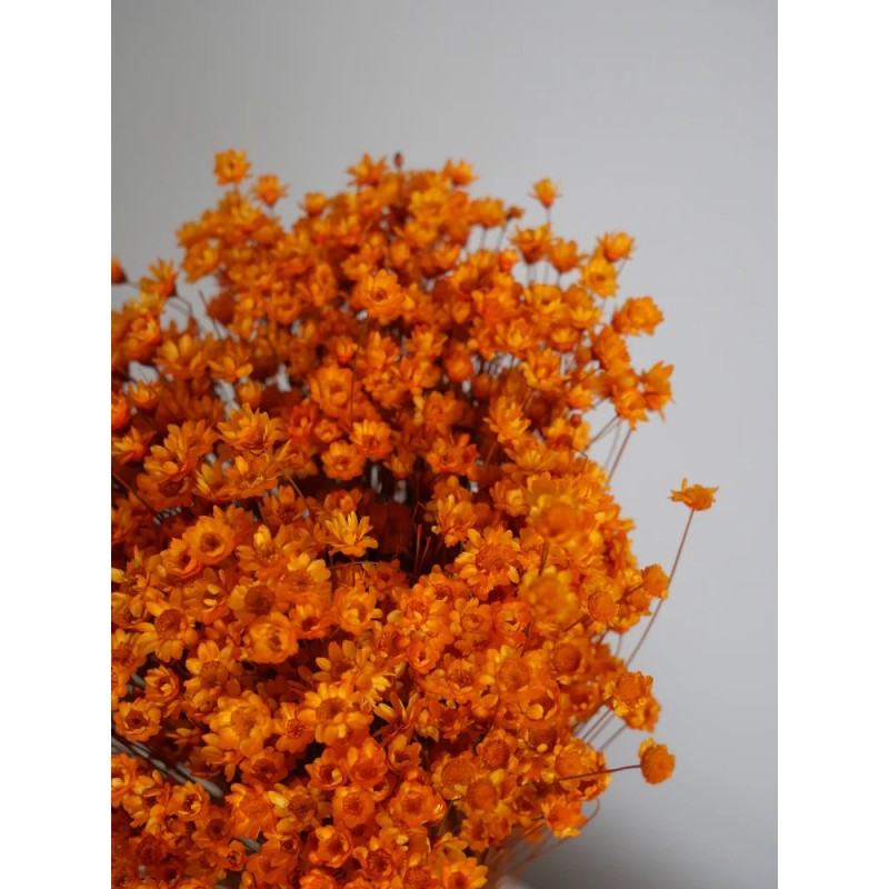 Glixia stabilisé orange