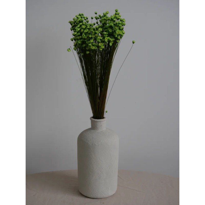 Glixia stabilisé vert décoration