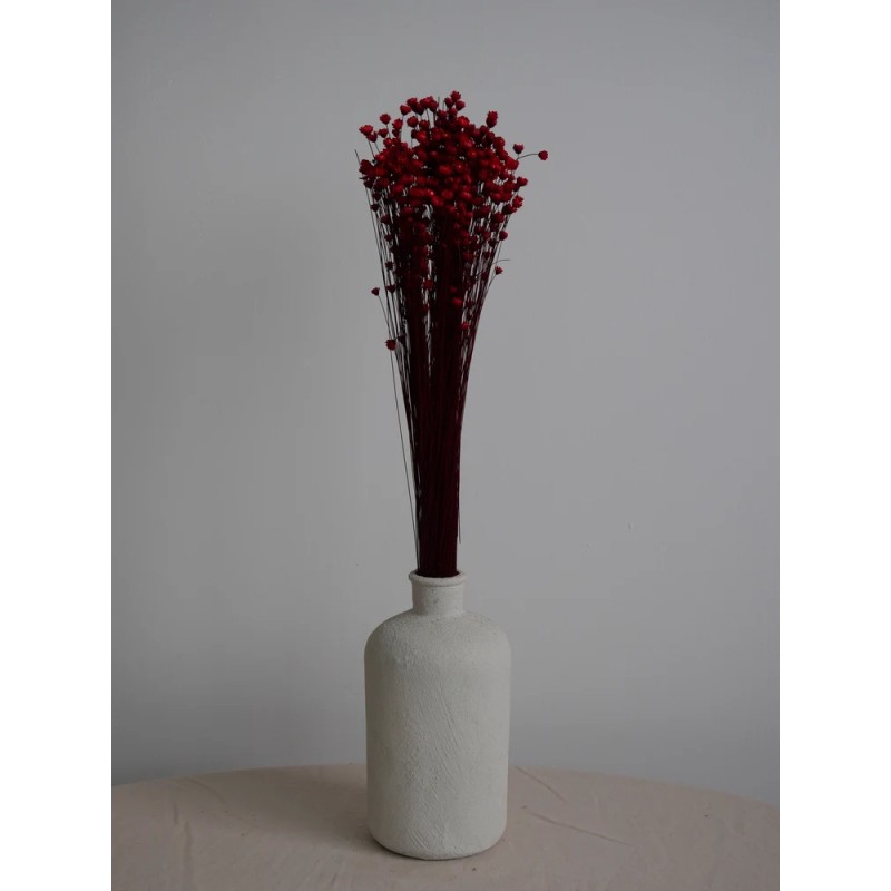 Glixia stabilisé rouge